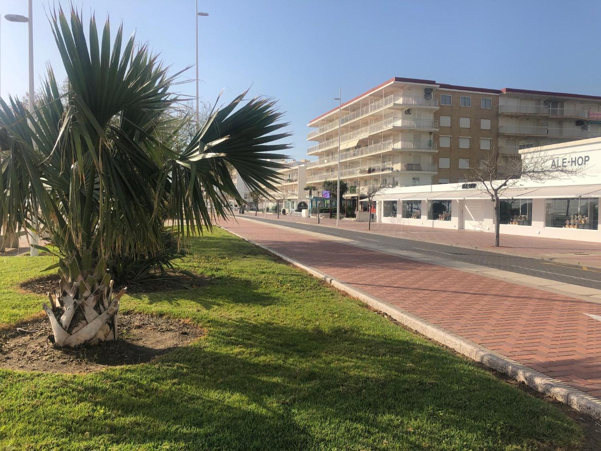 Playa De Gandia 1Ere Ligne El Galeon Apartment Ngoại thất bức ảnh